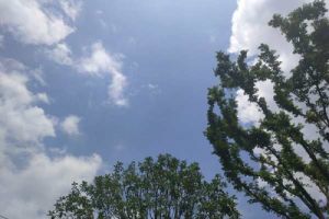 山东省出台《促进光伏发电高质量发展的实施意见》