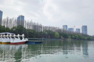 1.57亿！江苏泰州港经济开发区工业污水处理厂项目工程总承包招标