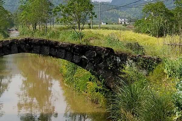 宿州市砀山县“协同发力” 推动生态环境质量稳步提升