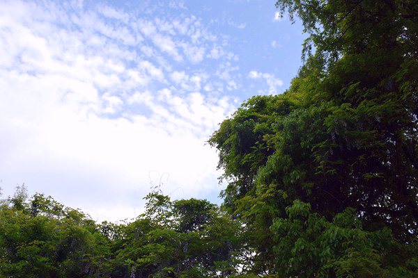 公开征求意见中！《海南省大气污染防治条例（修正草案征求意见稿）》发布