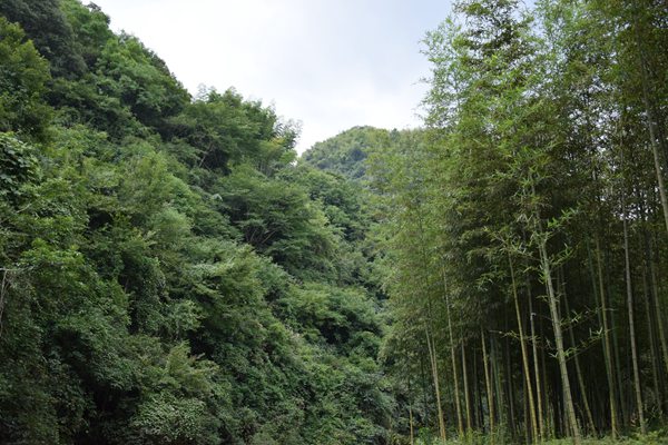 每年我国及各省份水、大气、固体废物等污染排放数据在哪里查询？